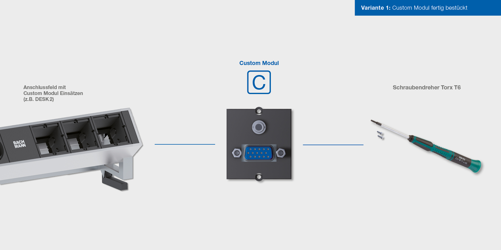 Bachmann_CustomModule_Grafik_001